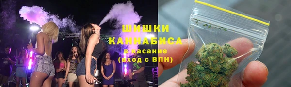 мяу мяу мука Ессентукская