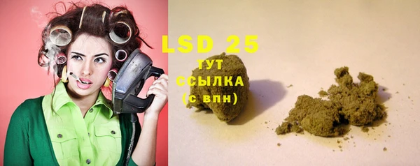 мяу мяу мука Ессентукская