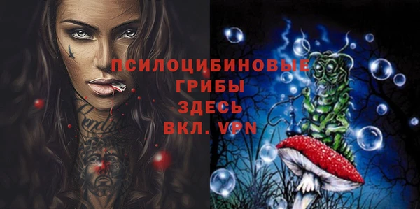мяу мяу мука Ессентукская