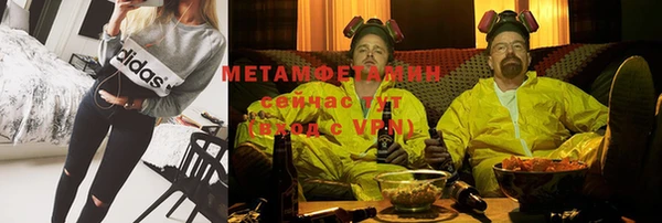 индика Фёдоровский