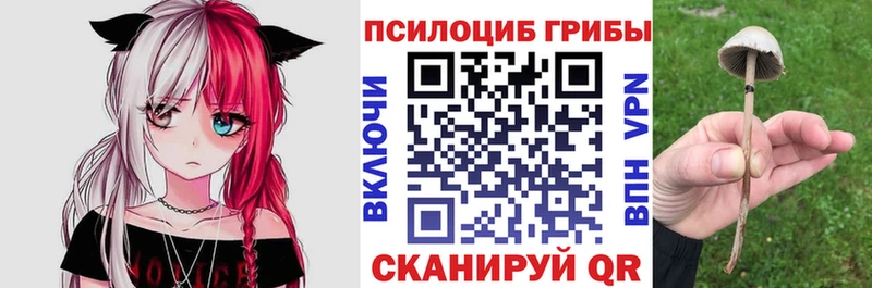 Псилоцибиновые грибы прущие грибы  купить наркотик  Черкесск 