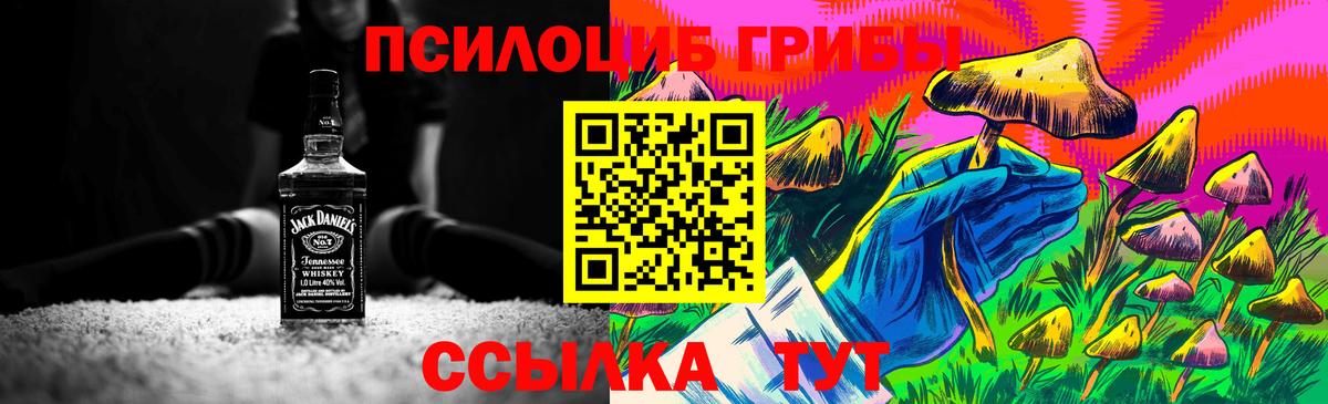 Галлюциногенные грибы MAGIC MUSHROOMS  Псилоцибиновые грибы MAGIC MUSHROOMS  Черкесск  Вход с VPN 